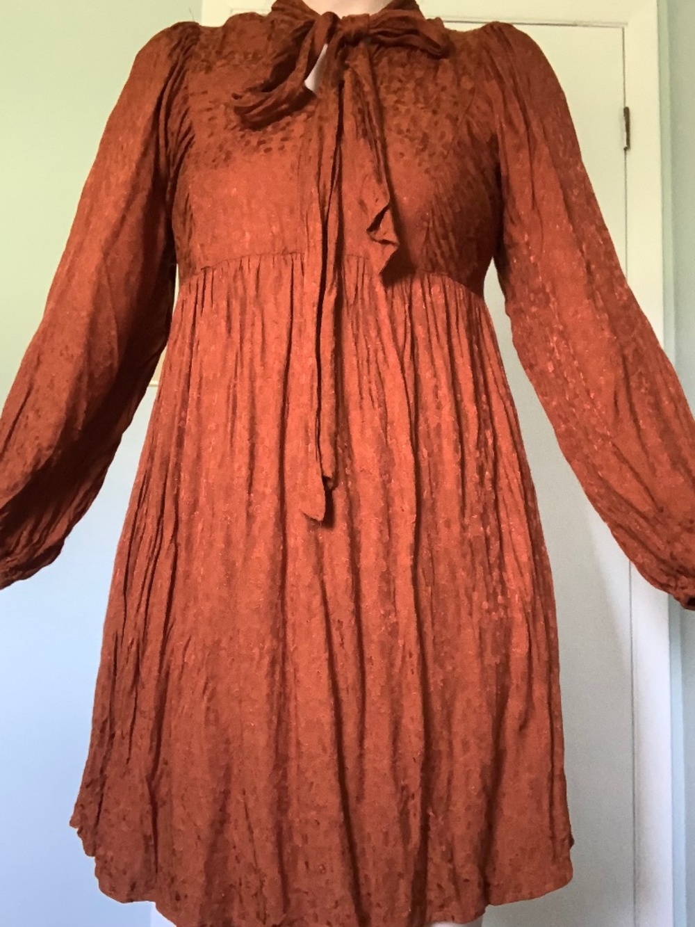 Acorn Brown dress